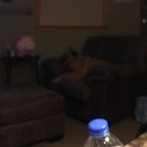 Meet your Posher, Diana